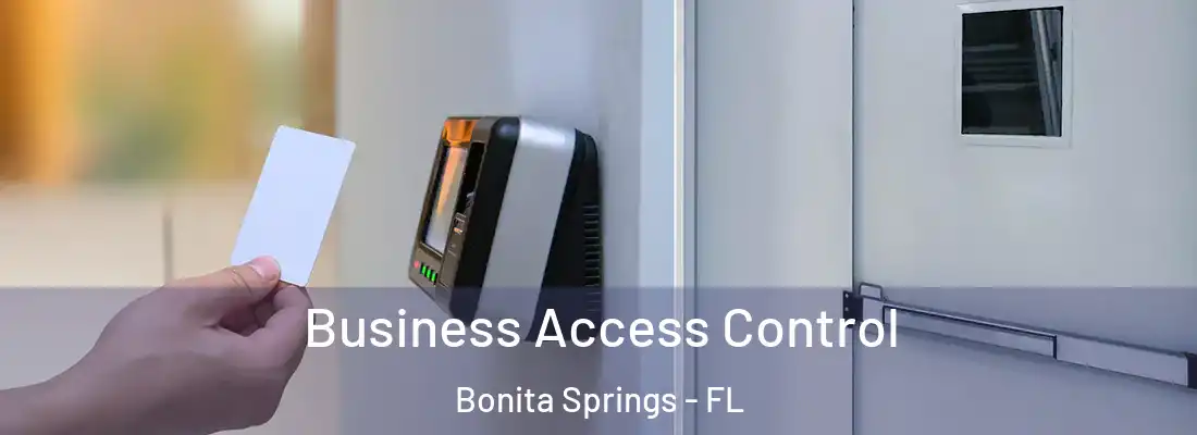 Business Access Control Bonita Springs - FL