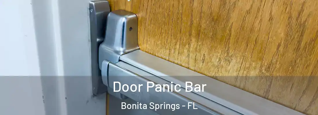 Door Panic Bar Bonita Springs - FL