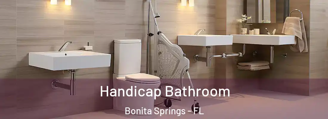 Handicap Bathroom Bonita Springs - FL